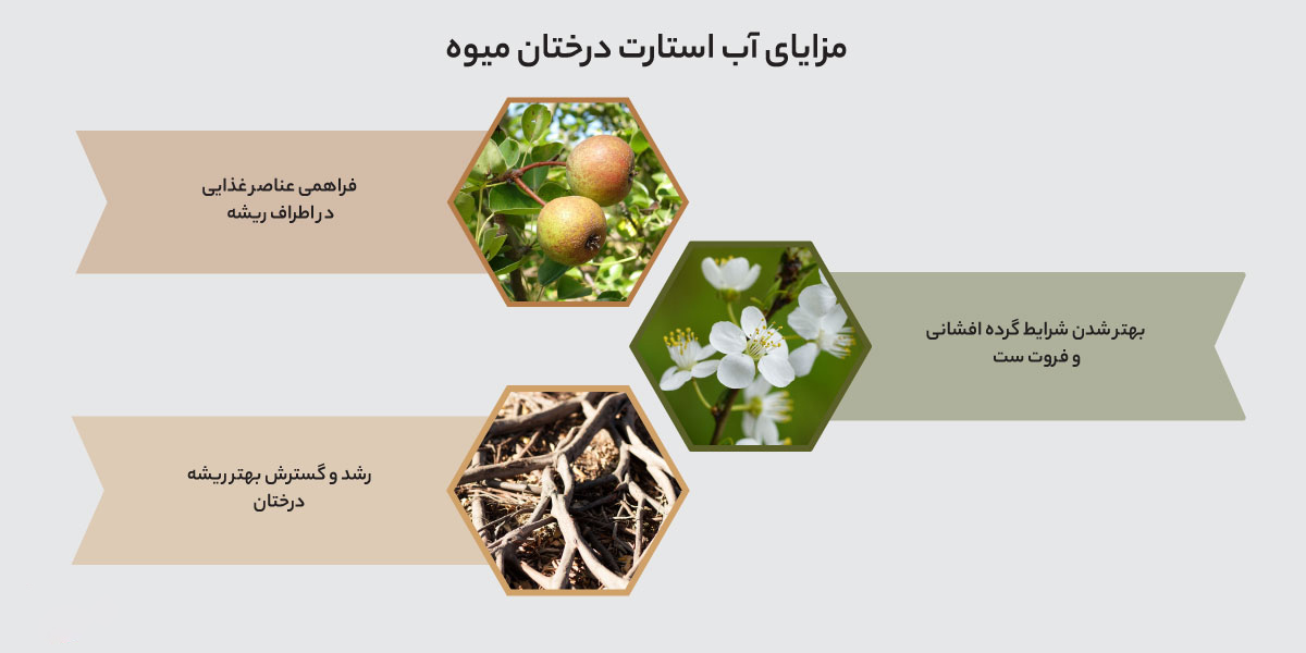 مزایای آب استارت درختان میوه
