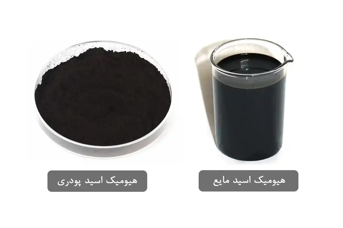 کود اسید هیومیک گرانوله